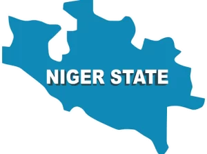 In Niger, A Woman Flees From Hoodlums While Abandoning Her Baby., Google News, Wikipedia, BBC news, BBC Hausa, Punch news, daily news, daily trust 