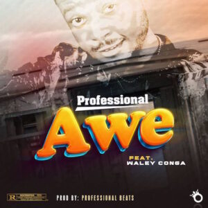 Professional Beat – Awe Ft. Walley Conga Mp3 Download 