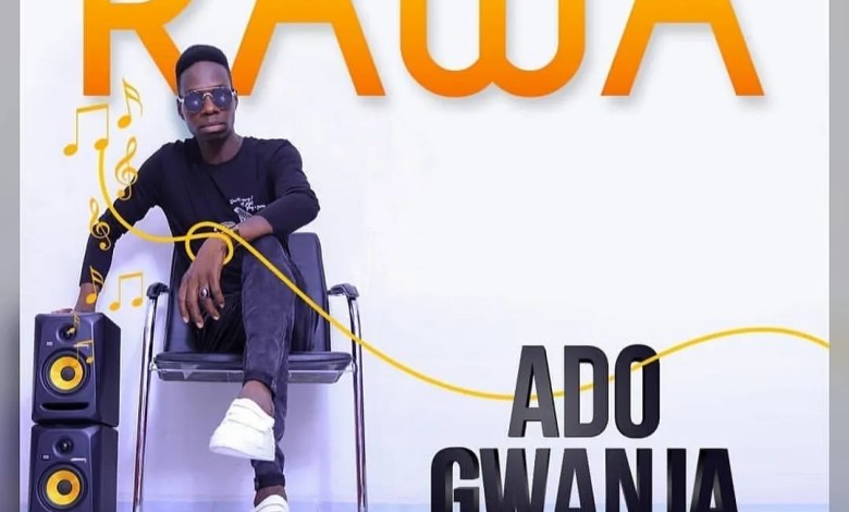 Download Latest Ado Gwanja Audio music songs, Ado Gwanja Audio Download, Ado Gwanja ft Prince mk cool Your Temper, Ado Gwanja Rawa, Rawa By Ado Gwanja,