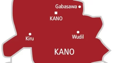 17 Killed In Kano Auto Crash