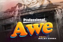 Professional Beat – Awe Ft. Walley Conga Mp3 Download