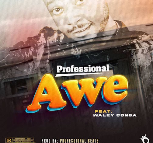 Professional Beat – Awe Ft. Walley Conga Mp3 Download