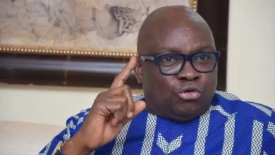 Suspension: Your Days Are Numbered, Fayose Blasts Ayu