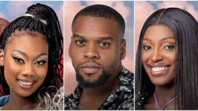 Evicted Big Brother Titans Housemates