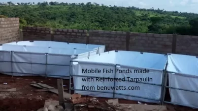 Mobile Fish Pond Tarpaulin: Dangers, Construction, Recommendations